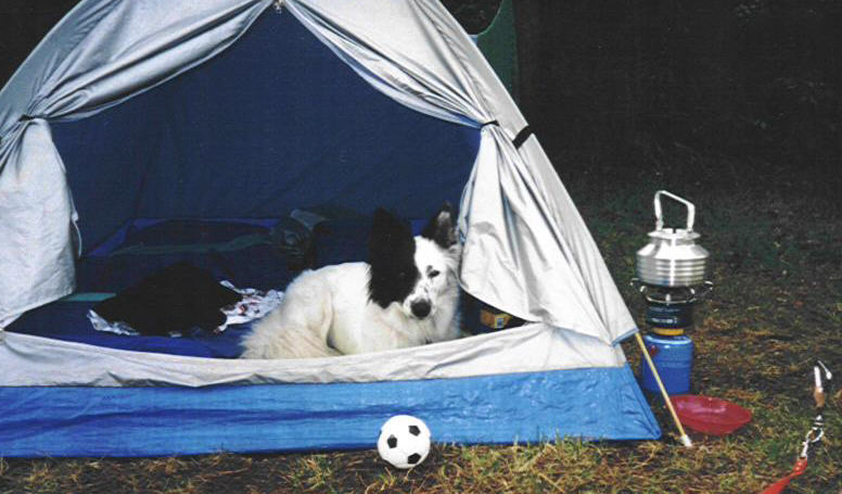 Frida slapper af i teltet